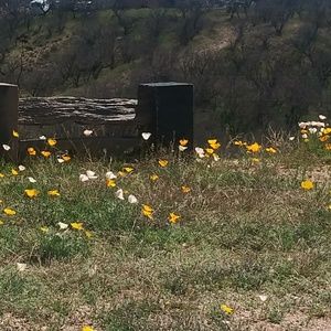 Meet your Posher, Dee